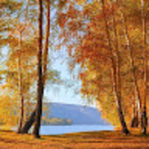 Meet your Posher, Littleart5